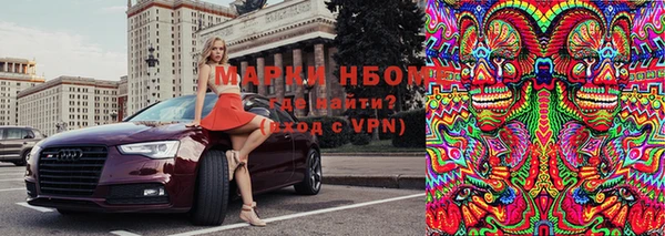 индика Бугульма