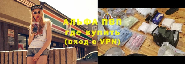 индика Бугульма