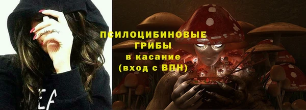 круглые Богданович