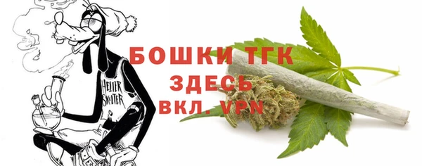 индика Бугульма
