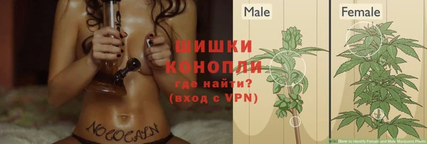 индика Бугульма