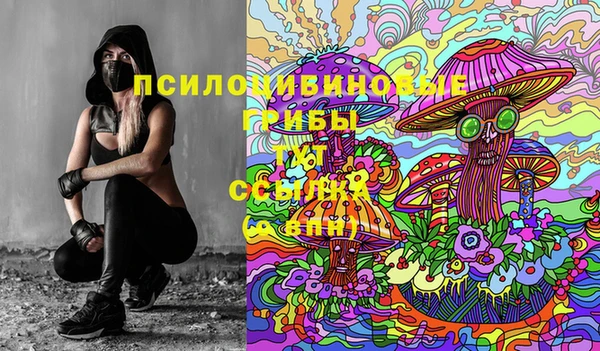 индика Бугульма