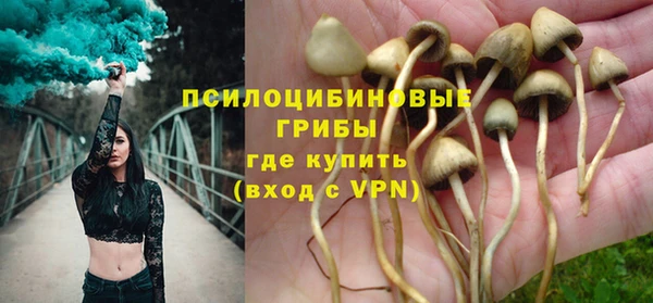 ГАЛЛЮЦИНОГЕННЫЕ ГРИБЫ Бронницы