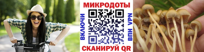 цена наркотик Сосногорск Псилоцибиновые грибы Psilocybe